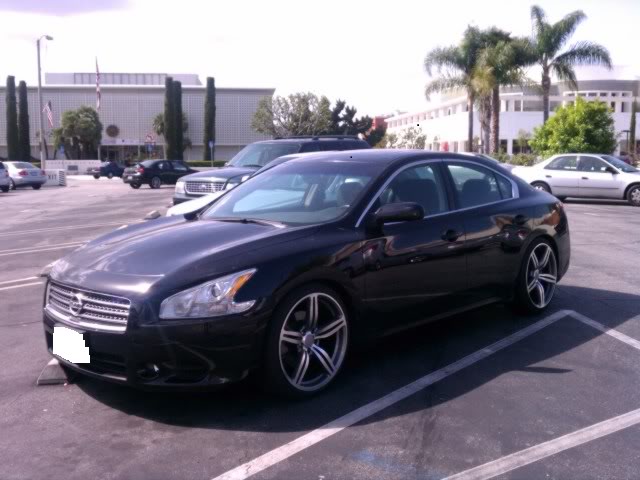 2010 Nissan Maxima photo