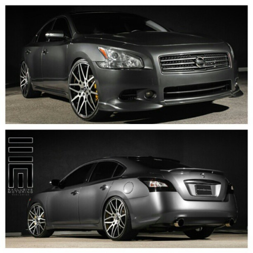2010 Nissan Maxima photo