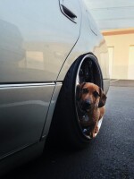 2000 Lexus GS 300