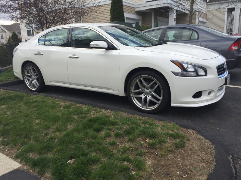 2014 Nissan Maxima photo