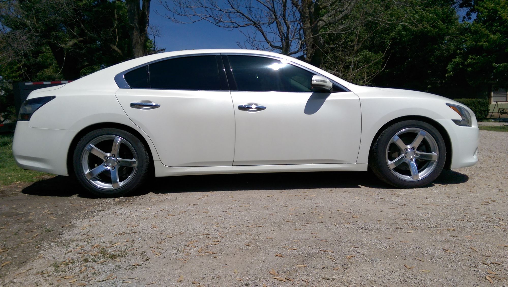 2014 Nissan Maxima photo