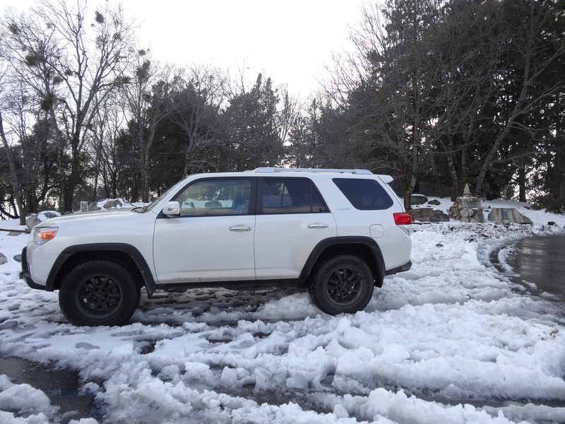 2010 Toyota 4Runner photo