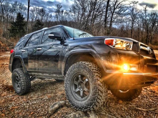 2010 Toyota 4Runner photo