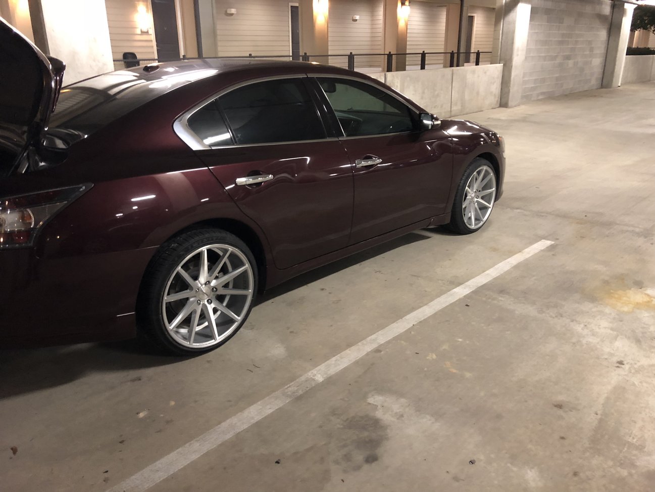 2014 Nissan Maxima photo
