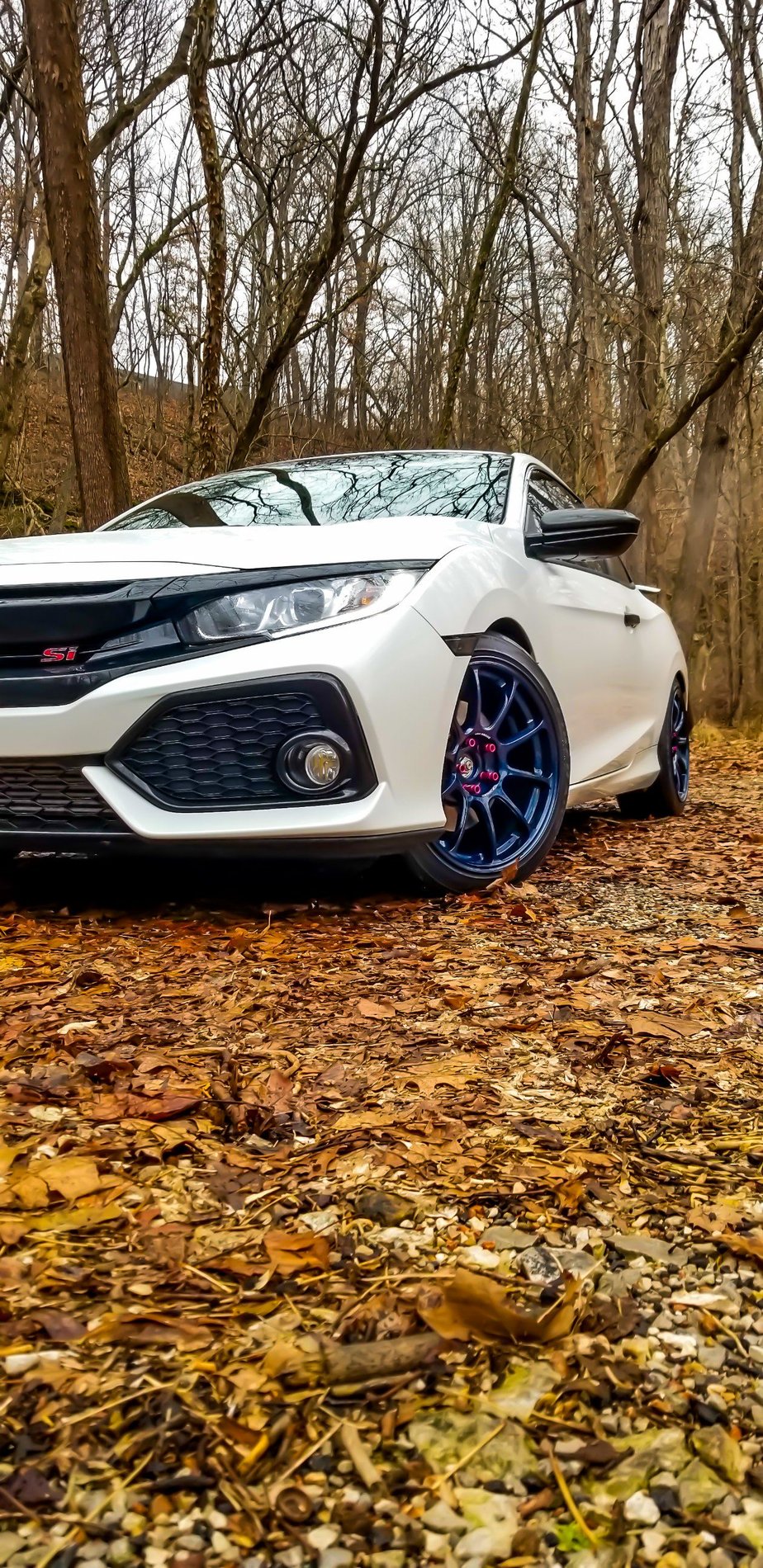 2017 Honda Civic photo