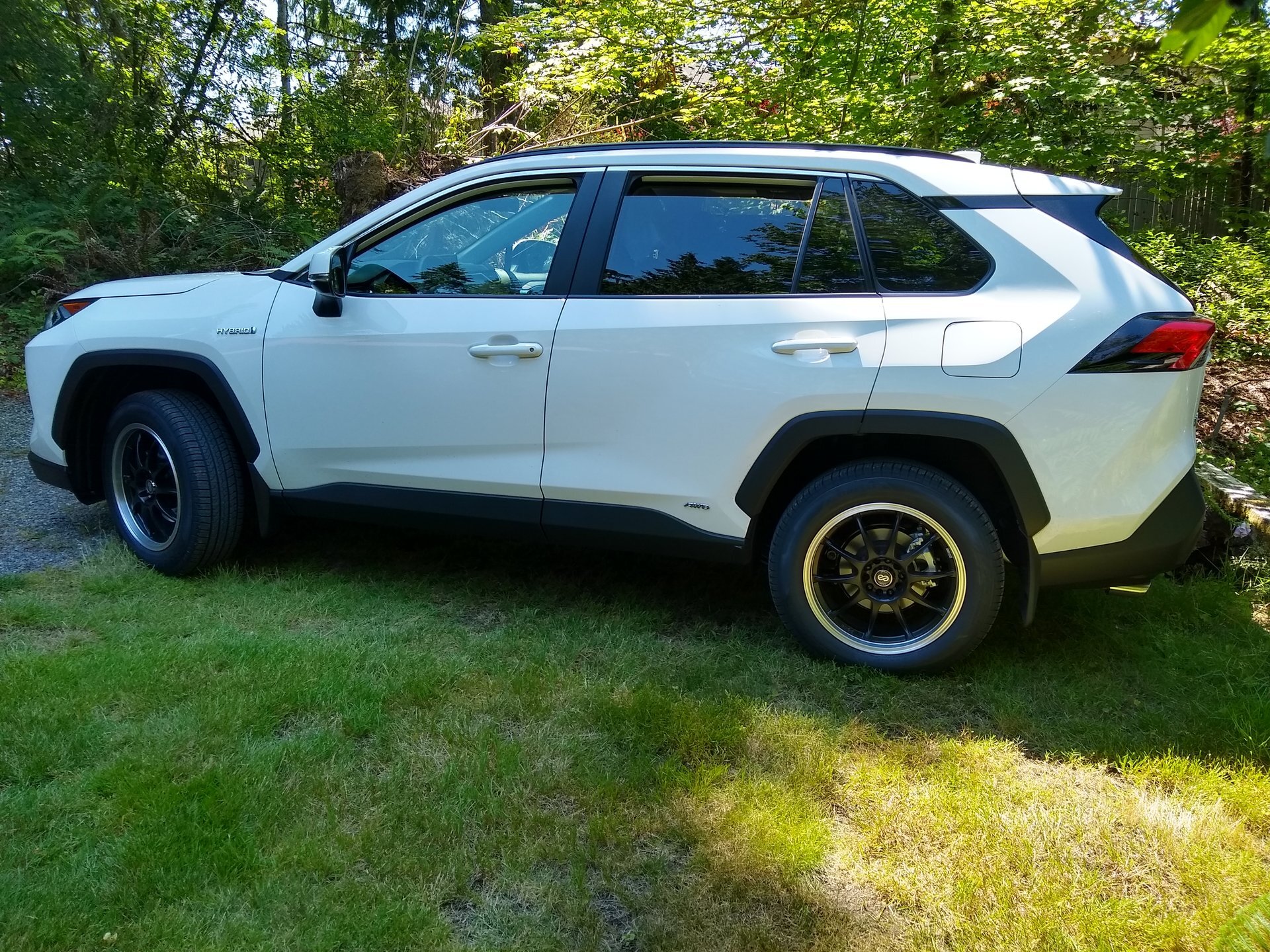 2019 Toyota RAV4 photo