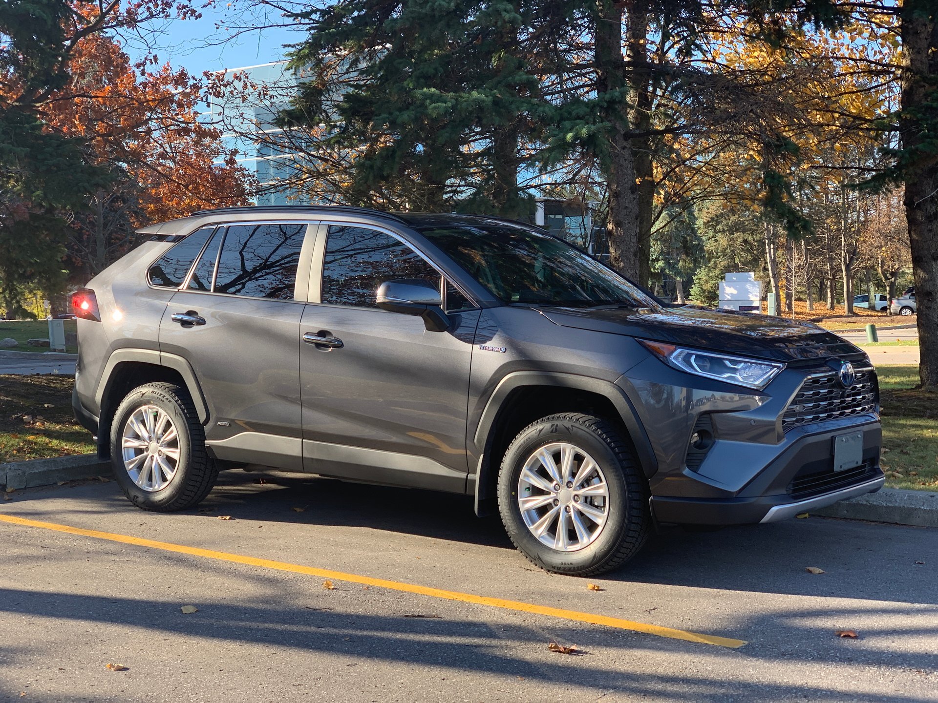 2019 Toyota RAV4 photo