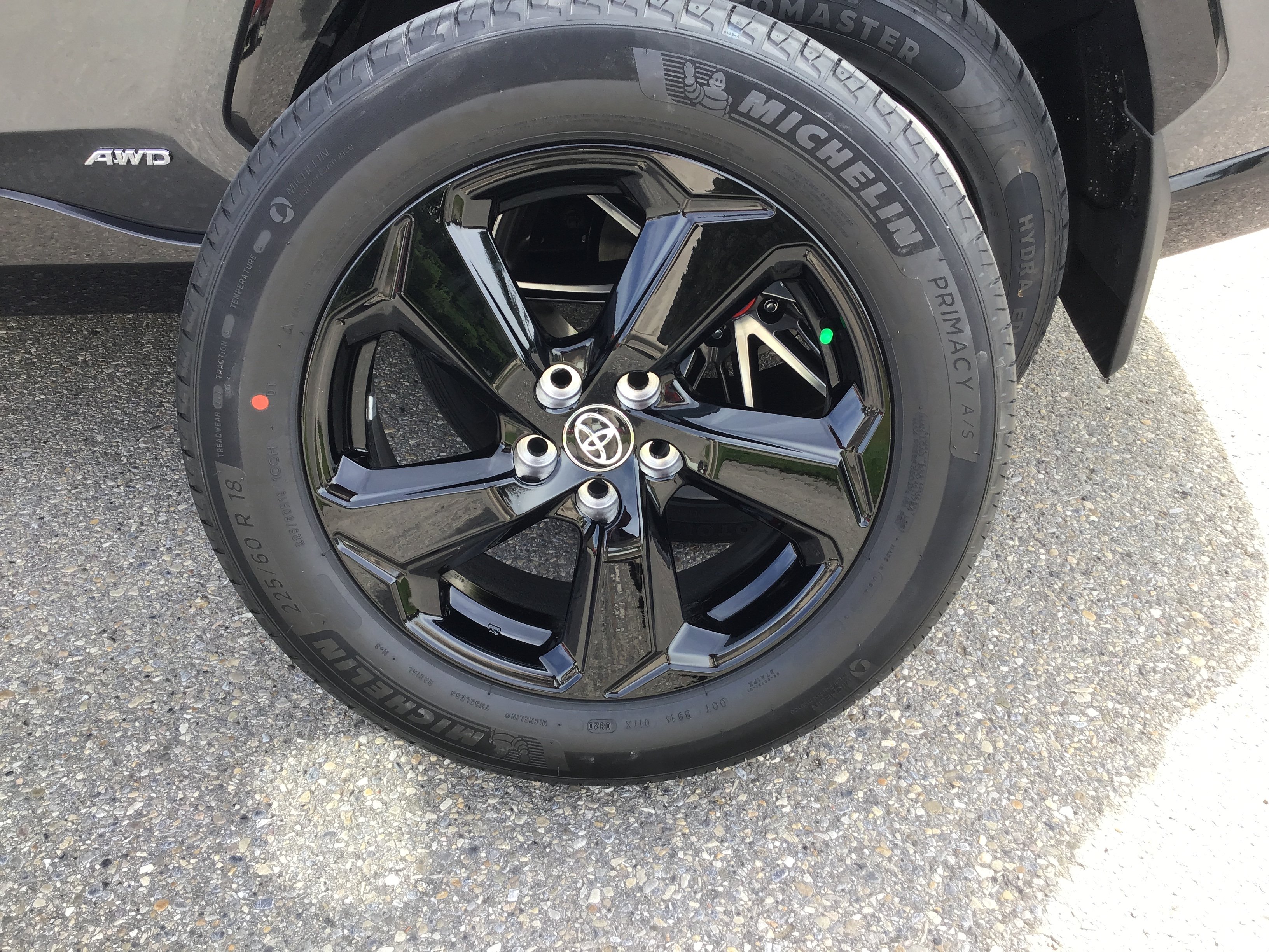 2019 Toyota RAV4 photo