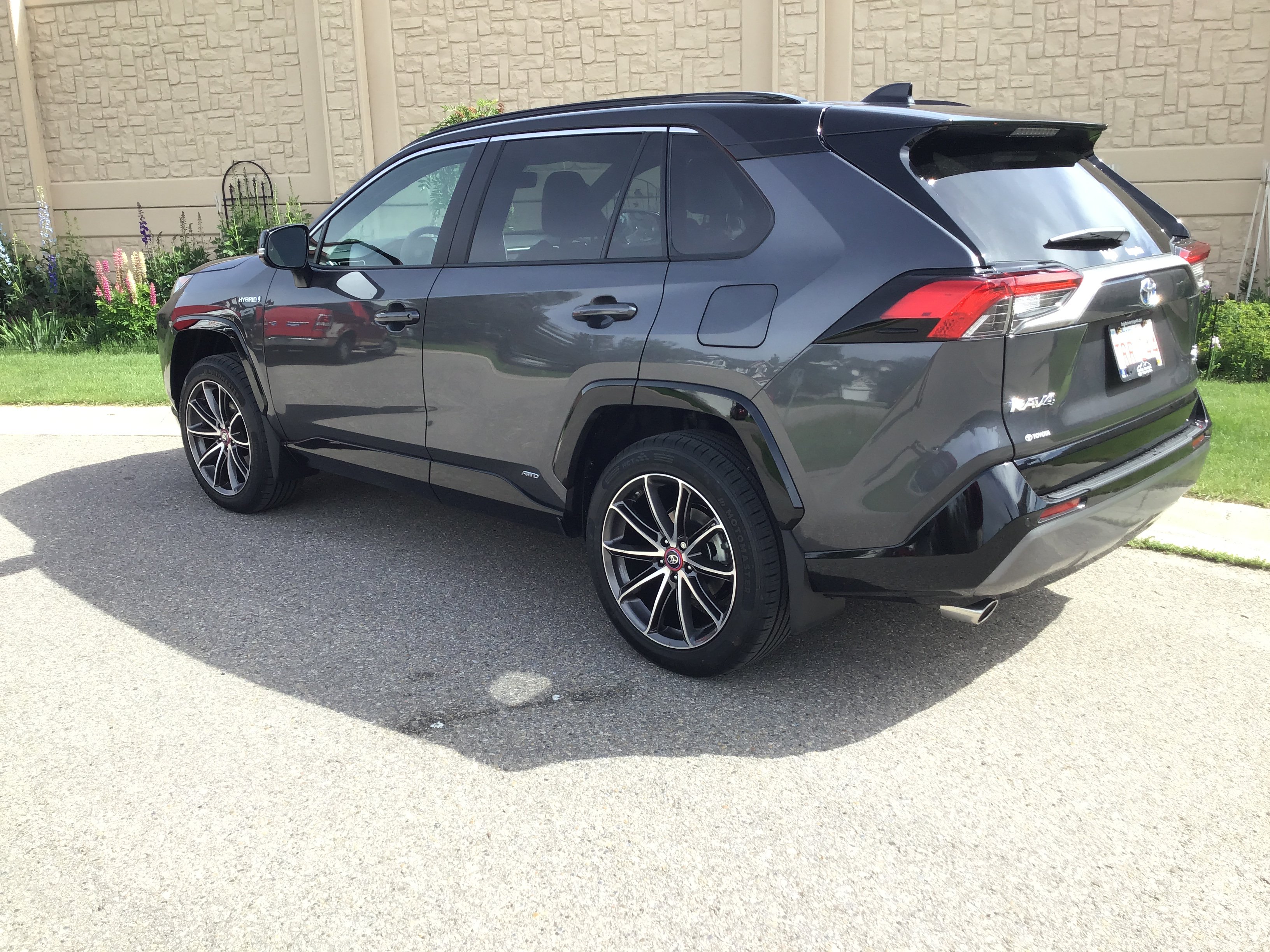 2019 Toyota RAV4 photo