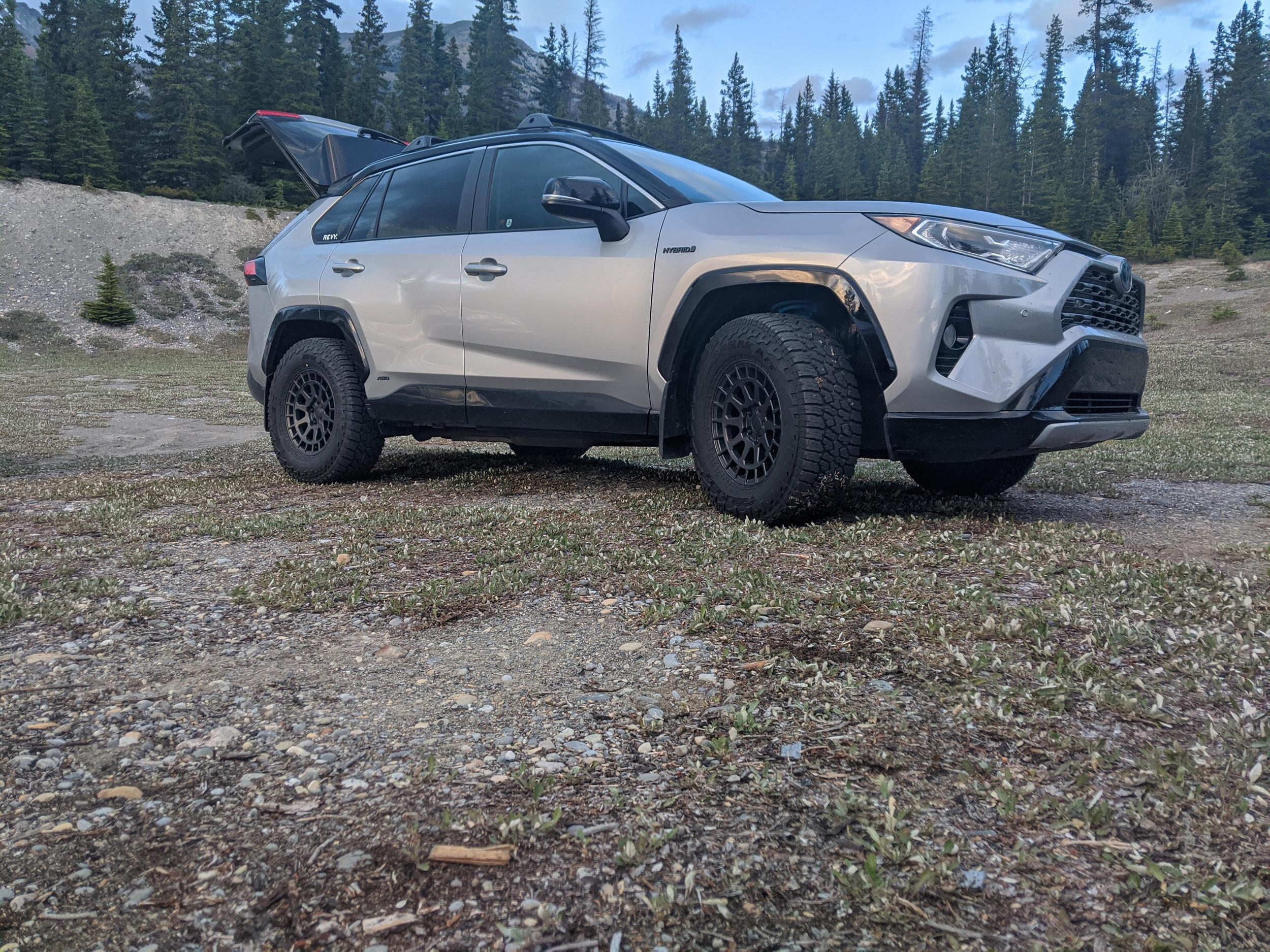 2019 Toyota RAV4 photo