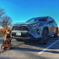 2020 Toyota RAV4