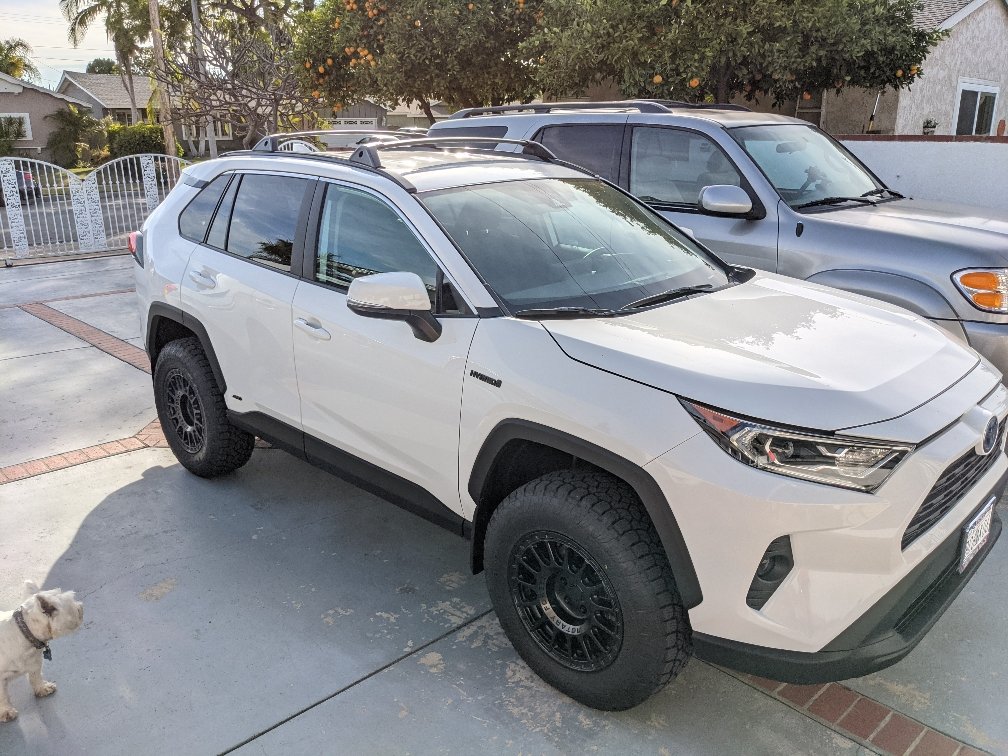 2020 Toyota RAV4 photo