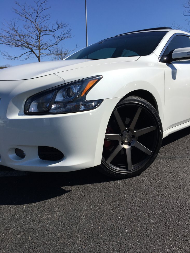2014 Nissan Maxima photo
