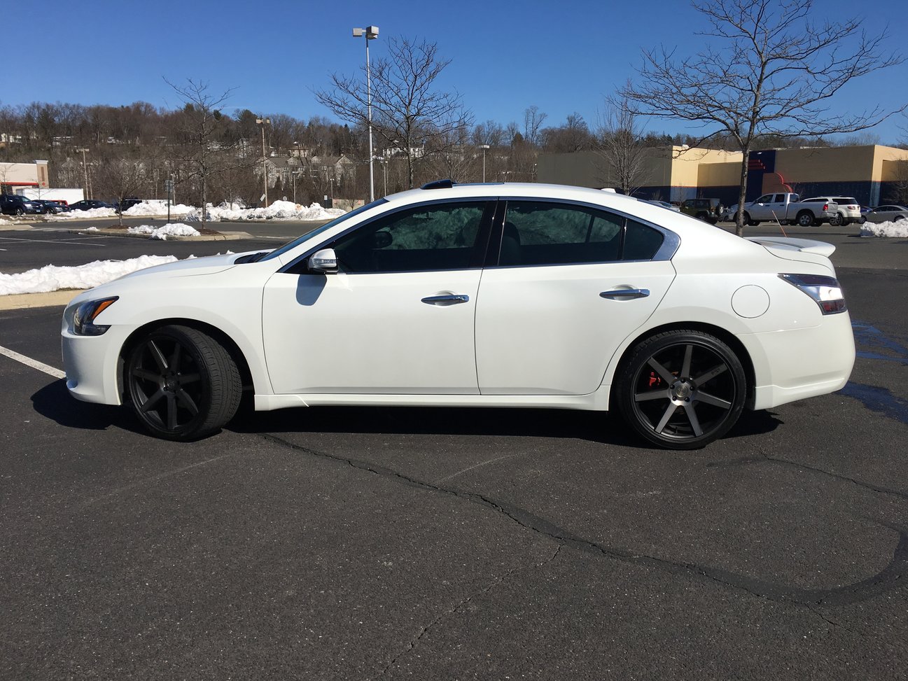 2014 Nissan Maxima photo