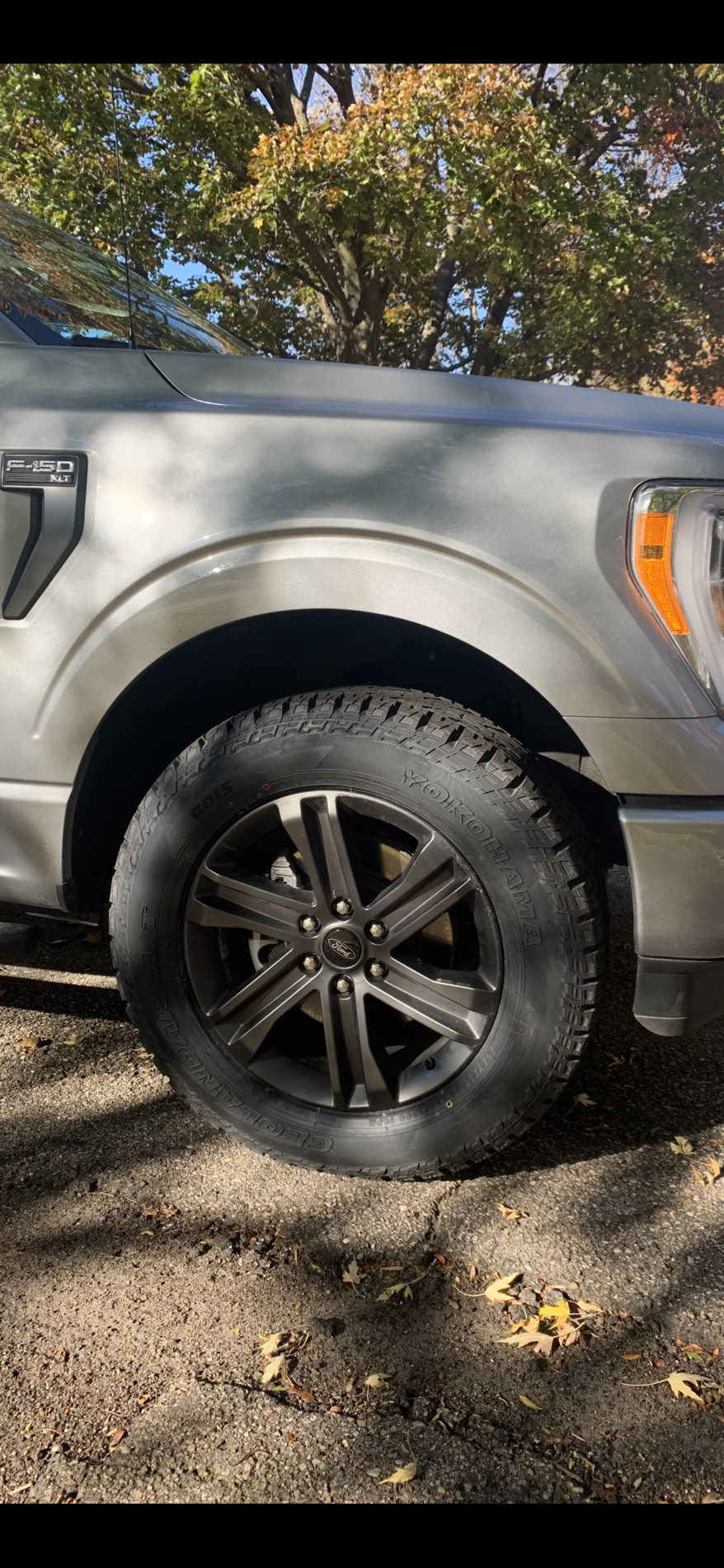 2021 Ford F-150 photo
