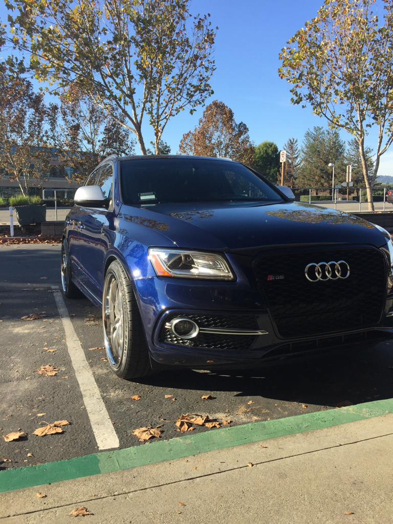 2016 Audi SQ5 photo