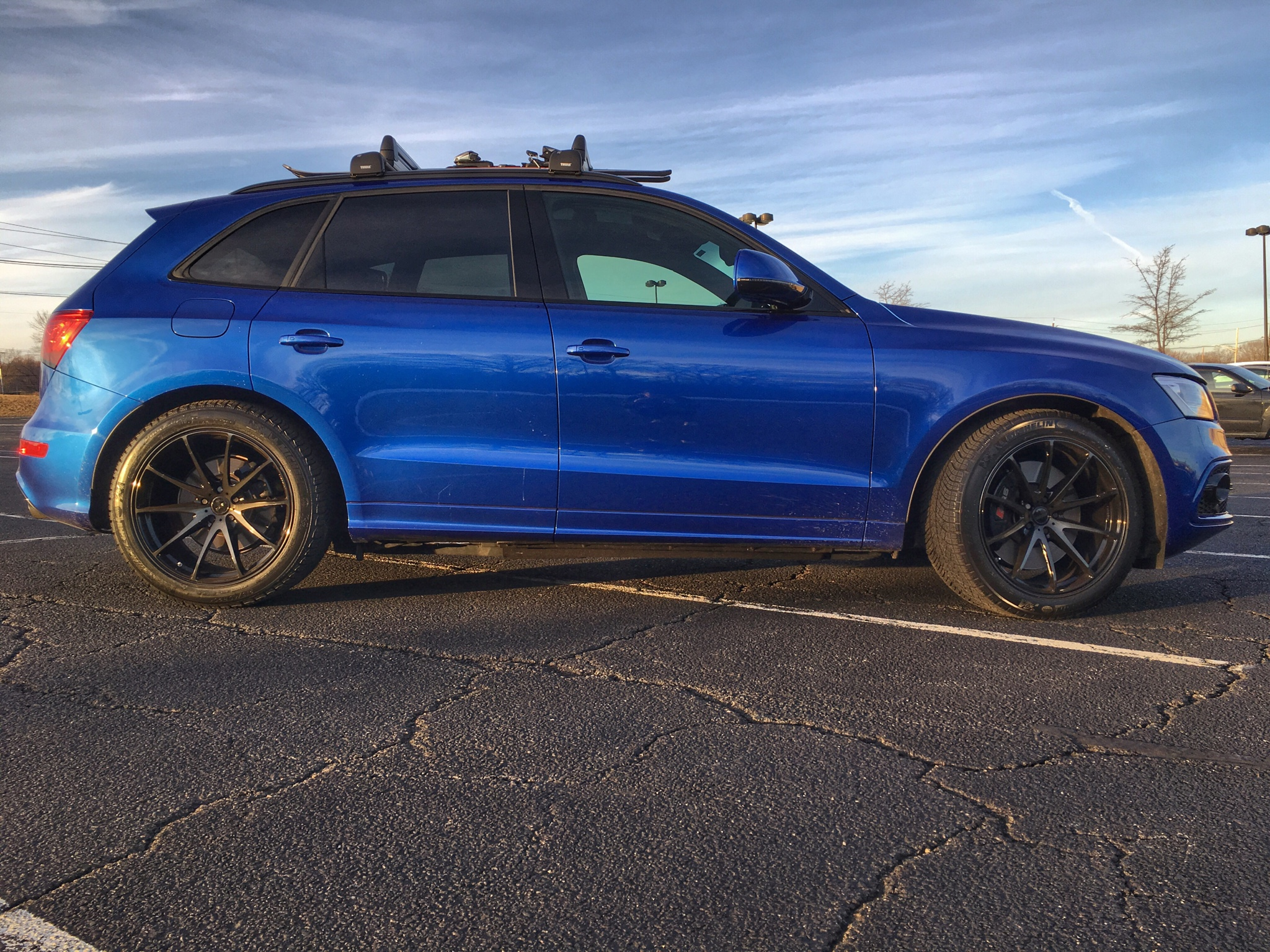 2015 Audi SQ5 photo