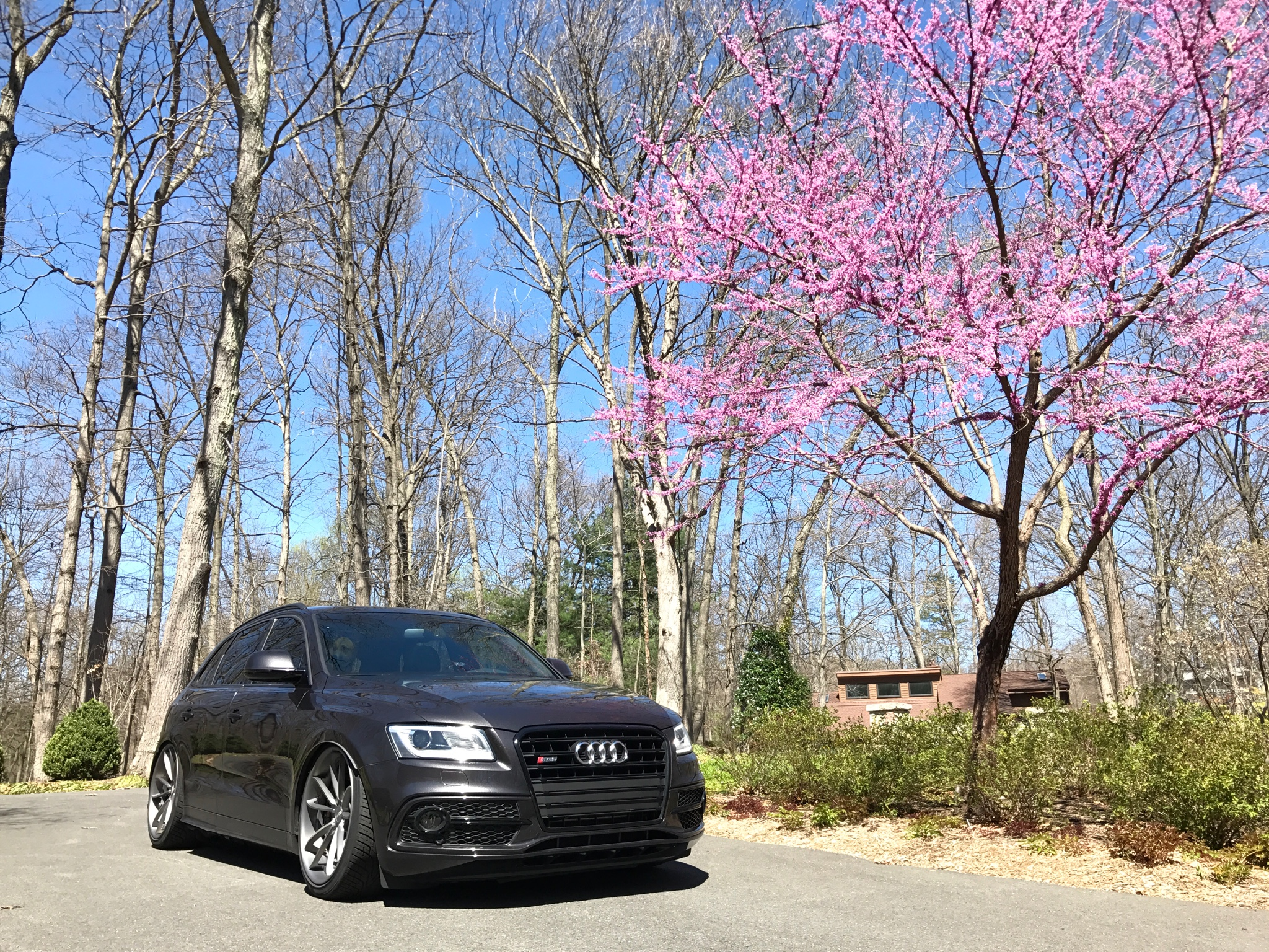 2016 Audi SQ5 photo