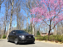 2016 Audi SQ5