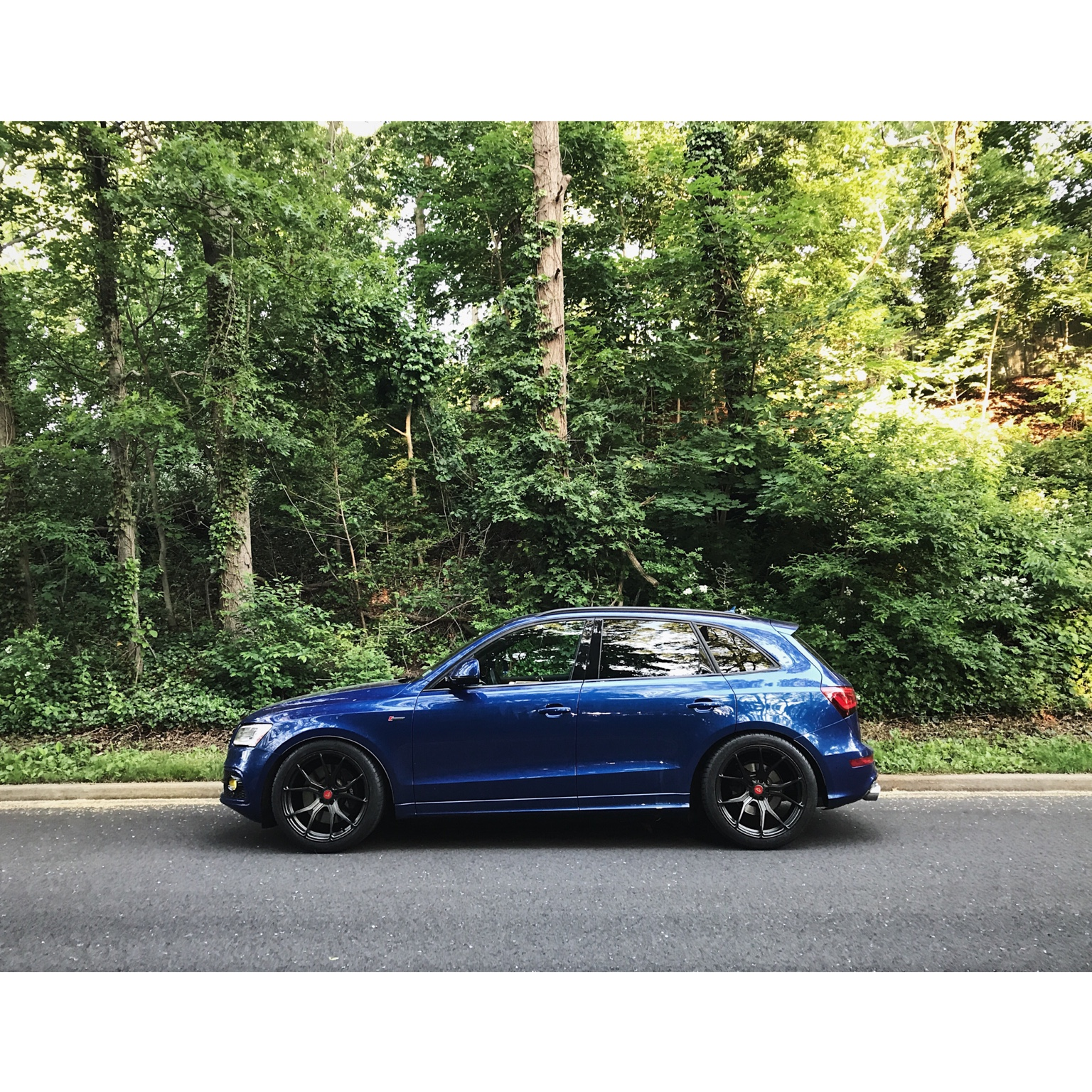 2016 Audi SQ5 photo