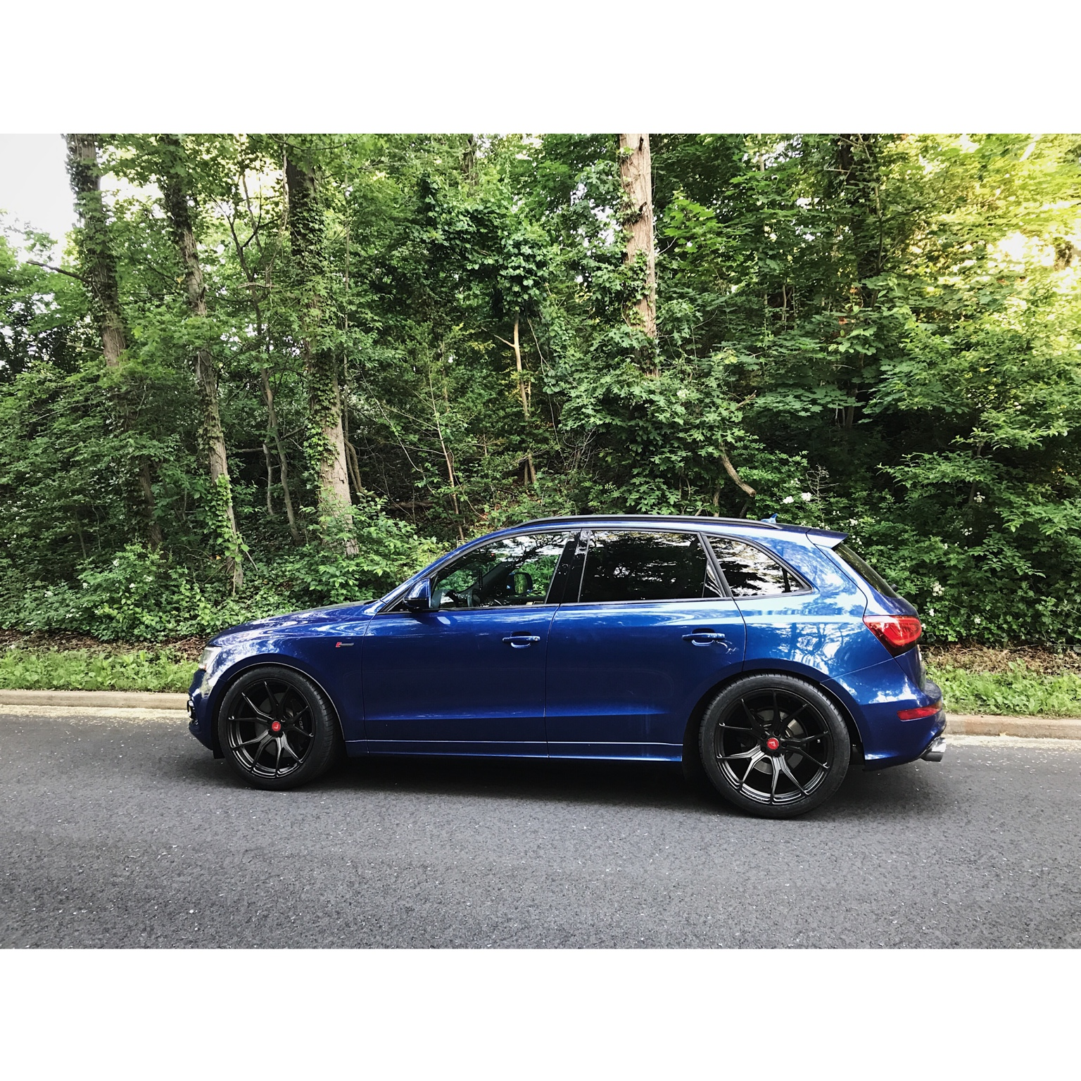 2016 Audi SQ5 photo