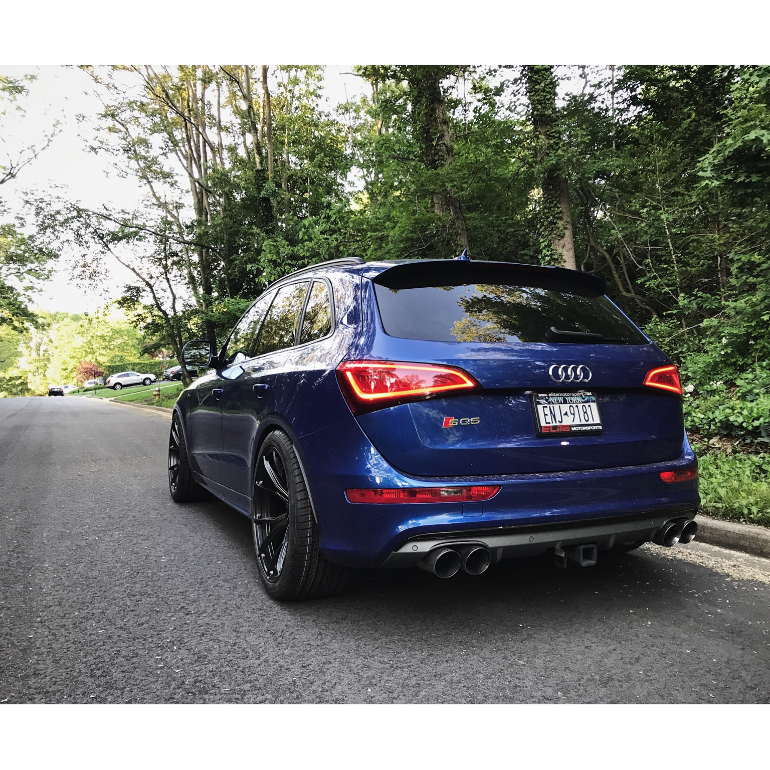 2016 Audi SQ5 photo