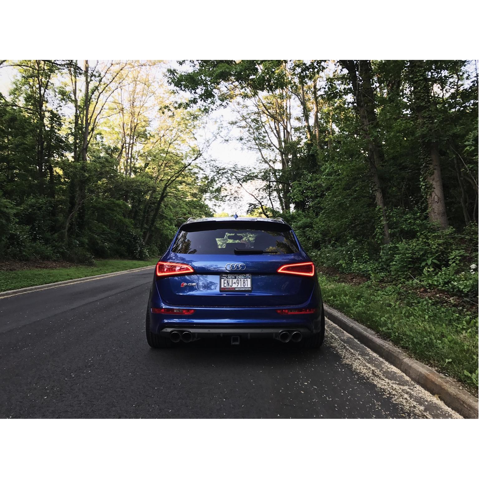 2016 Audi SQ5 photo