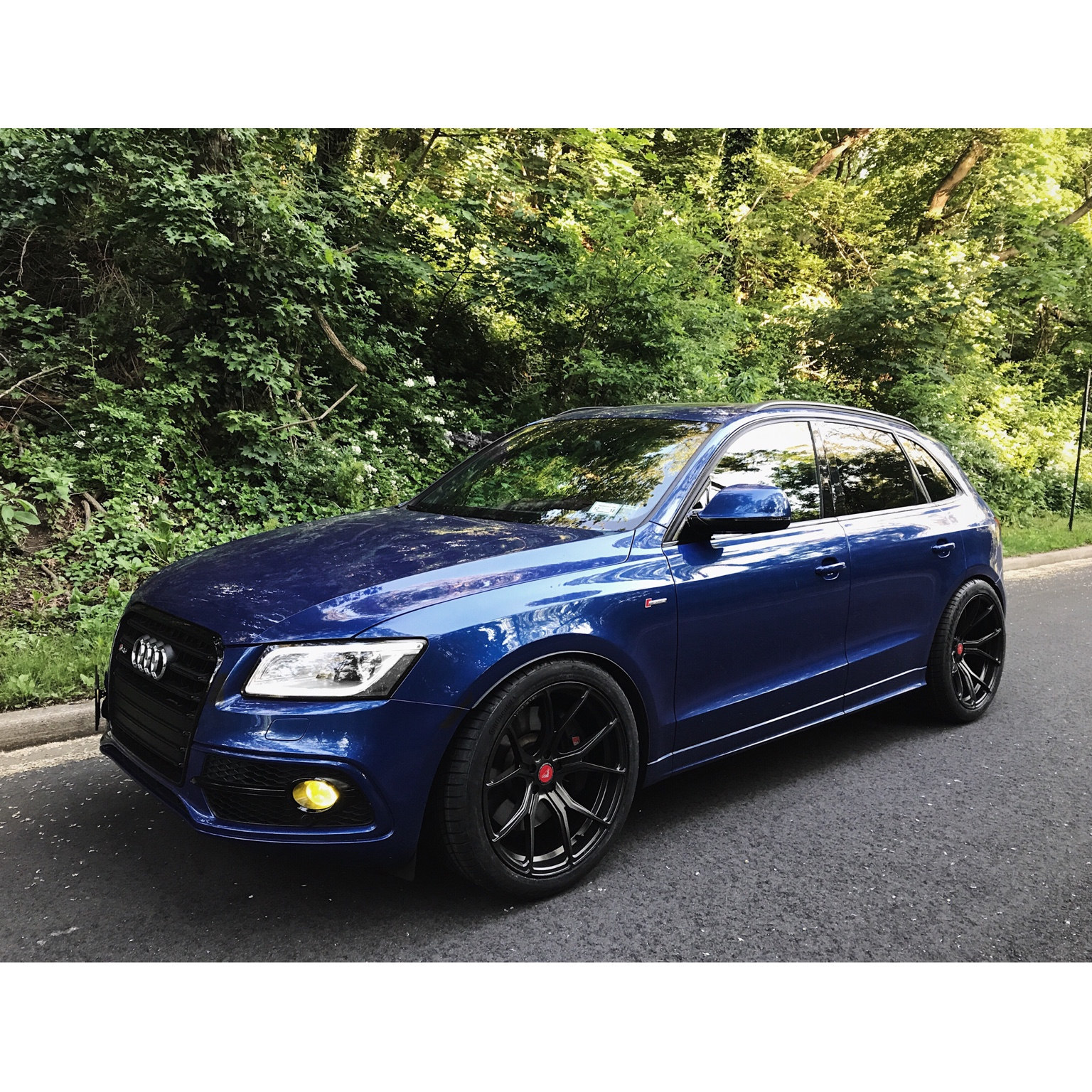 2016 Audi SQ5 photo