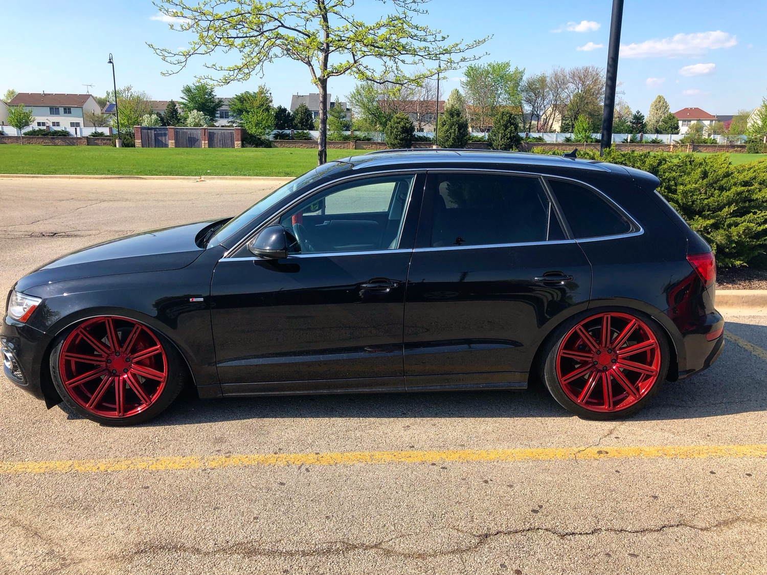 2016 Audi SQ5 photo