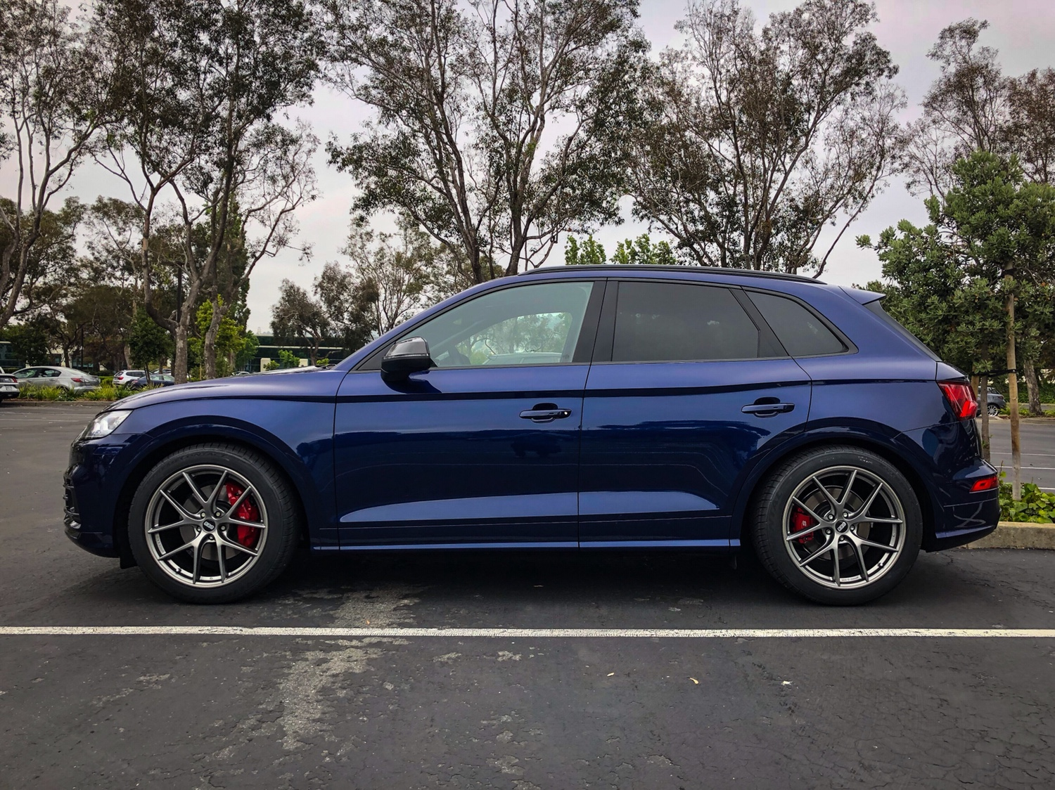 2016 Audi SQ5 photo