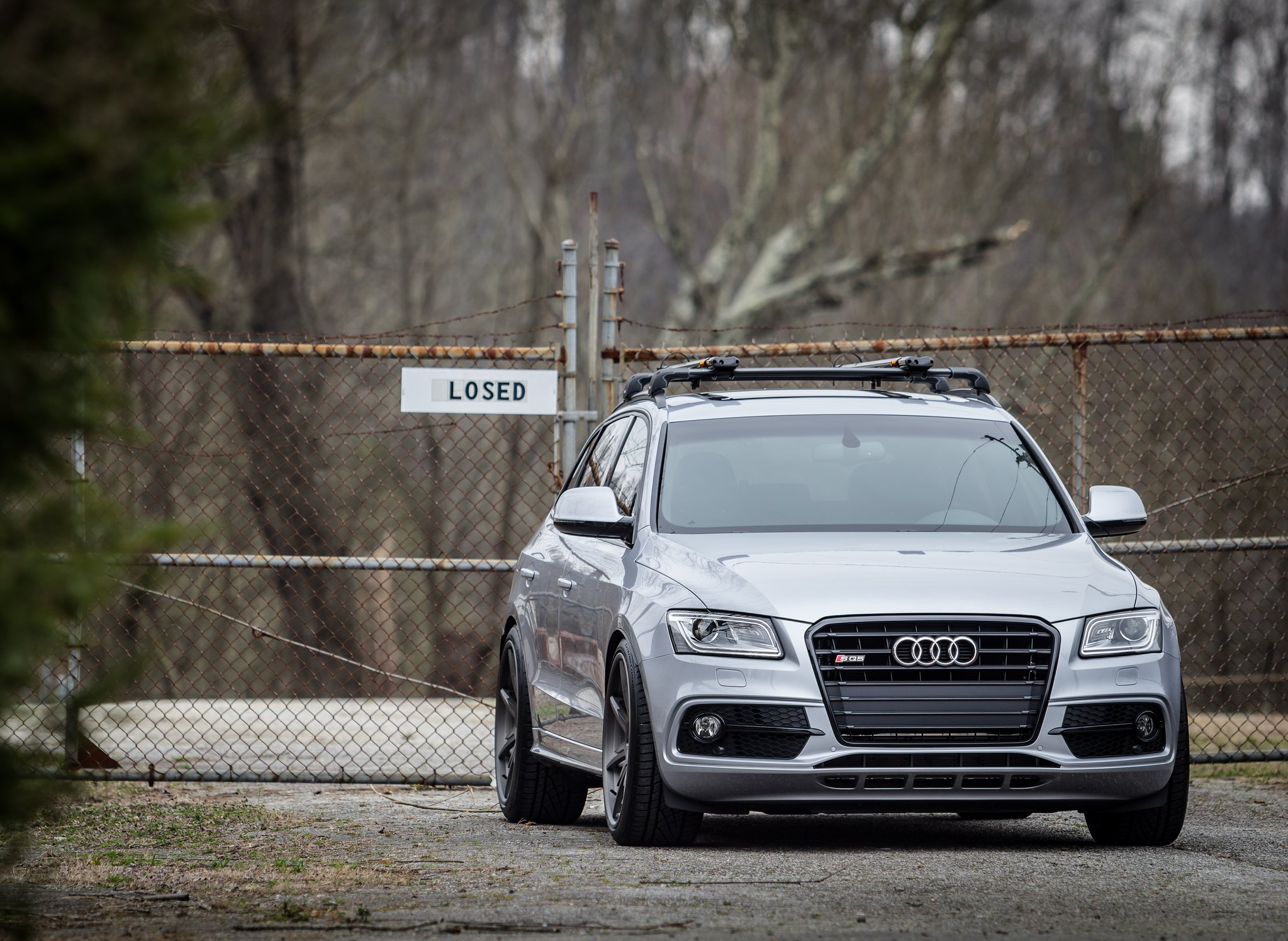2016 Audi SQ5 photo