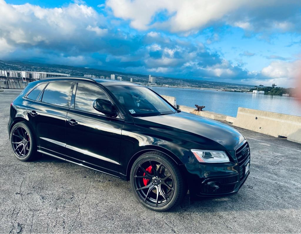 2014 Audi SQ5 photo