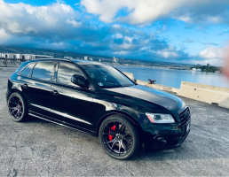 2014 Audi SQ5