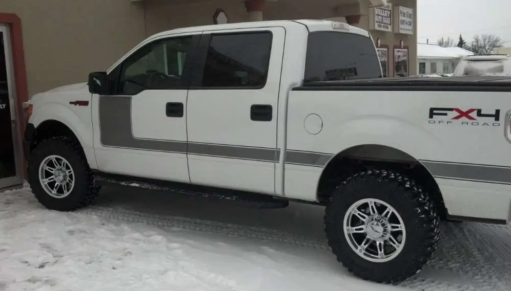 2009 Ford F-150 photo