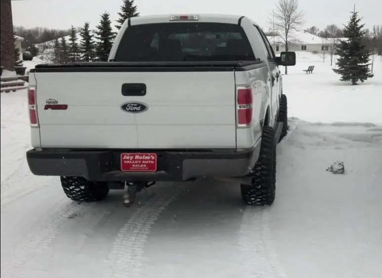 2009 Ford F-150 photo