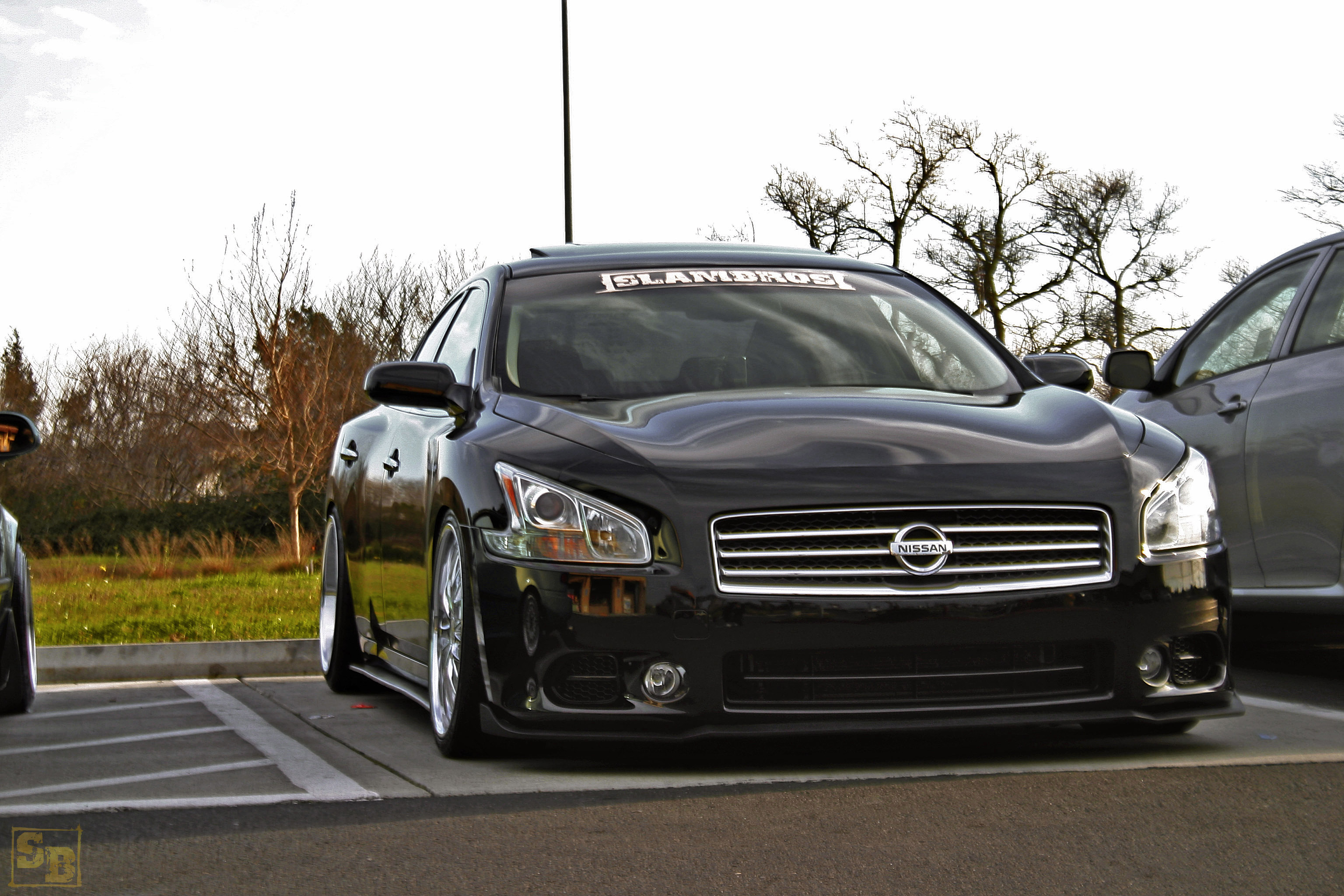 2010 Nissan Maxima photo