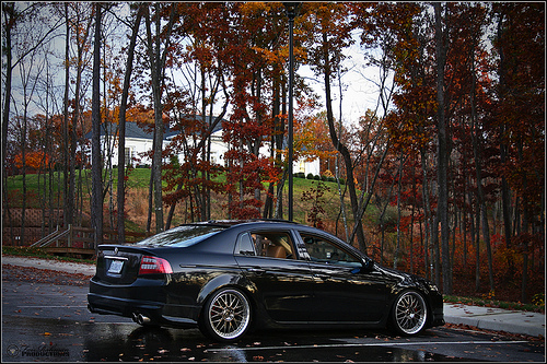 2006 Acura TL photo