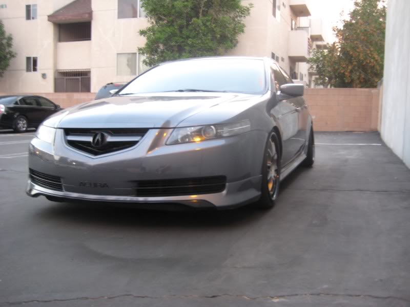 2008 Acura TL photo