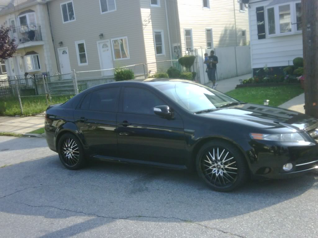 2008 Acura TL photo