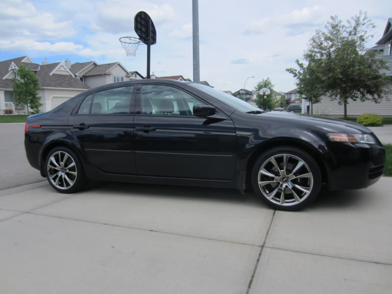 2008 Acura TL photo