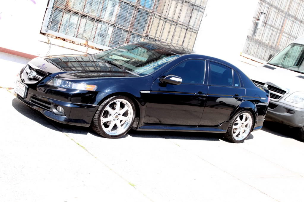 2008 Acura TL photo