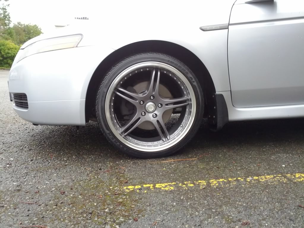2008 Acura TL photo