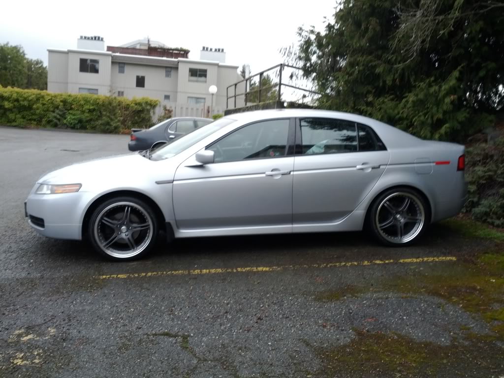 2008 Acura TL photo