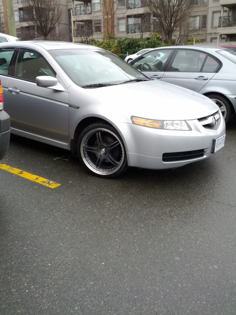 2008 Acura TL photo