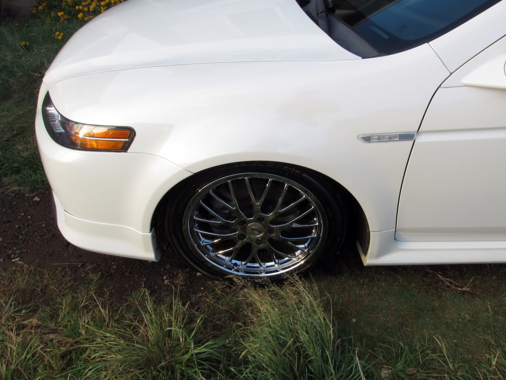 2008 Acura TL photo