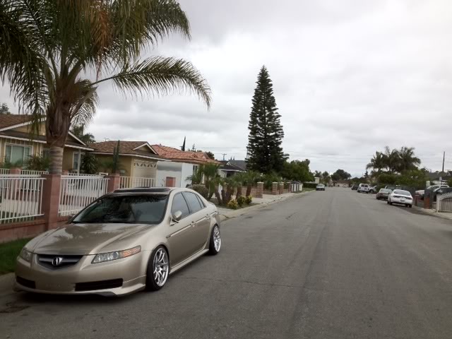 2008 Acura TL photo