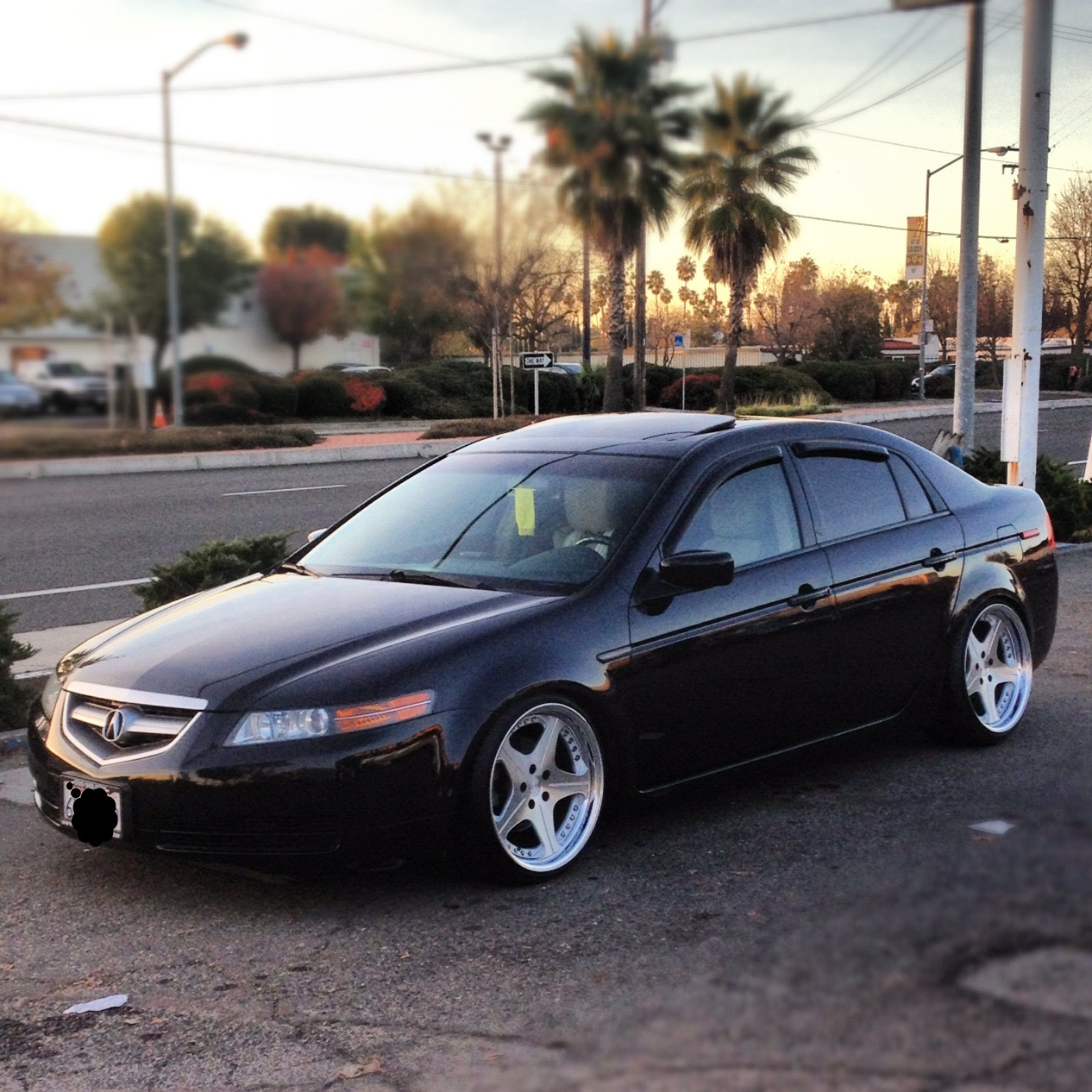 2008 Acura TL photo