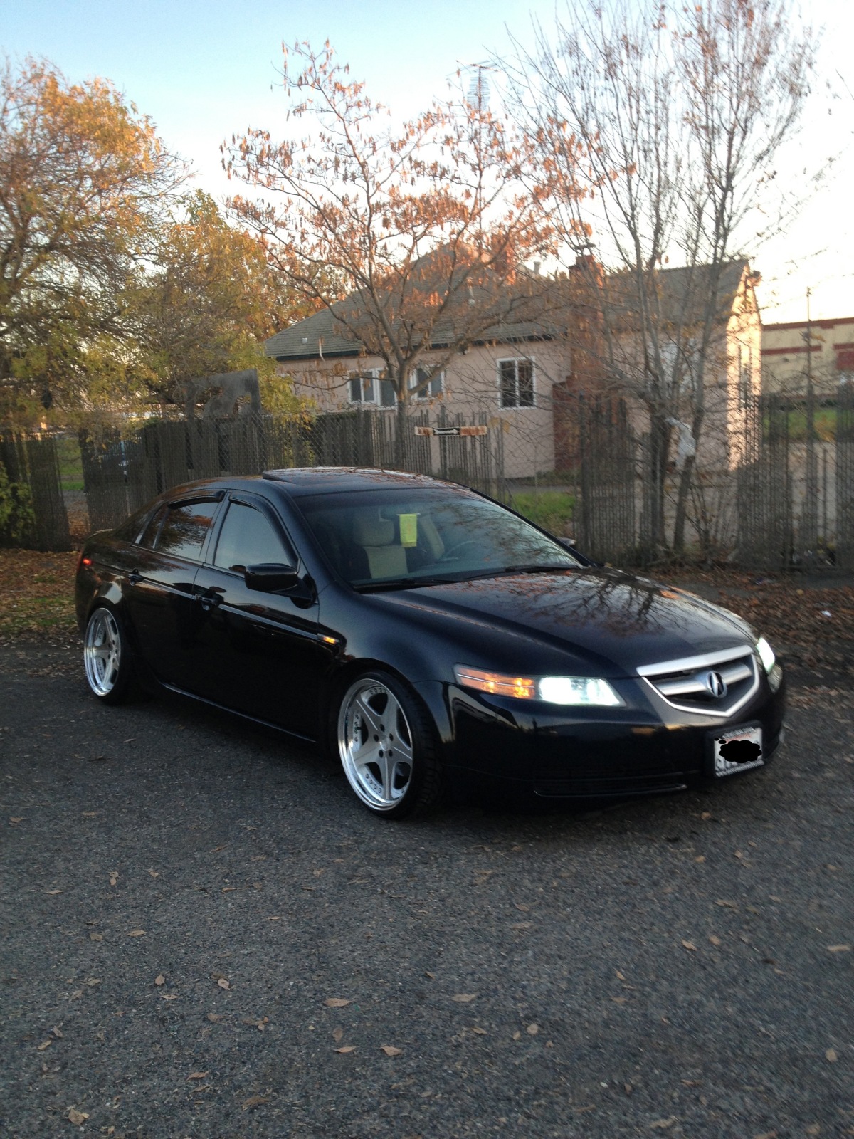 2008 Acura TL photo