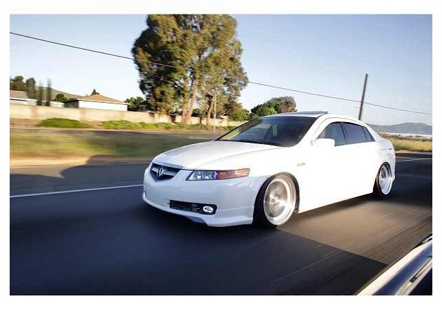 2008 Acura TL photo