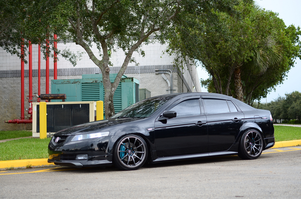 2008 Acura TL photo